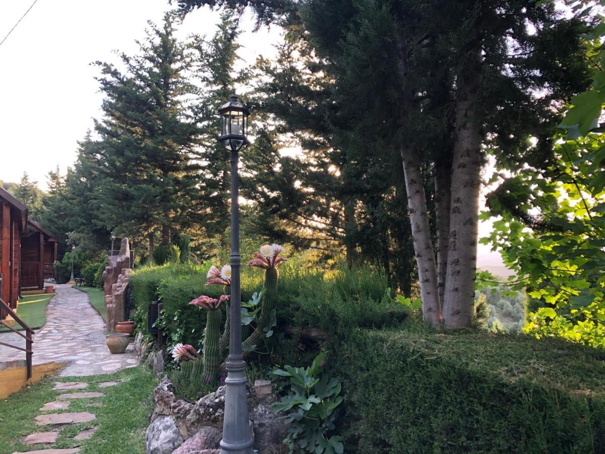 Casa rural De Madera Y - Gilmañas 3 La Iruela